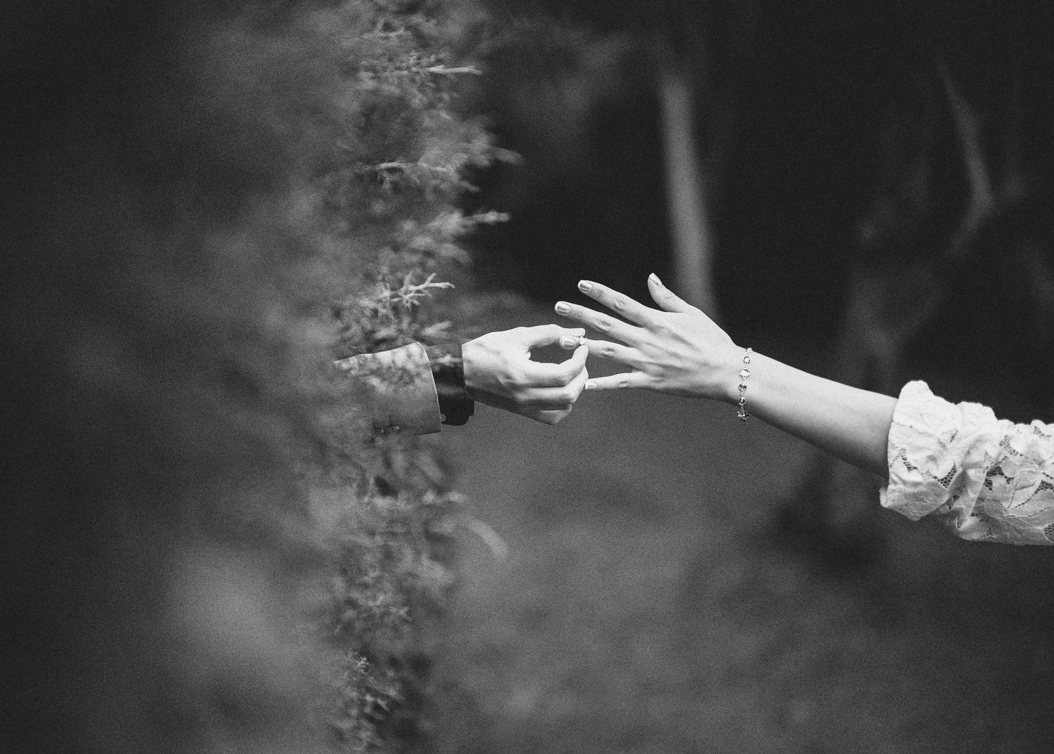 A delicate hand in lace sleeve reaches out to touch a small flower in a moody black and white photograph.