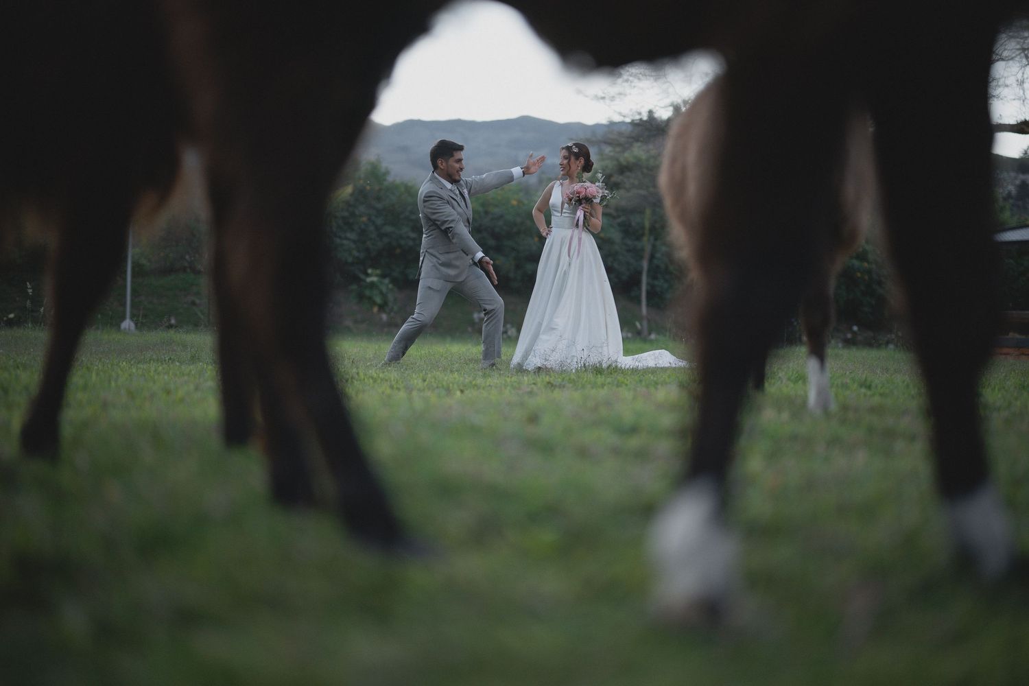 A wedding couple poses between dark tree trunks in a grassy outdoor setting at dusk.