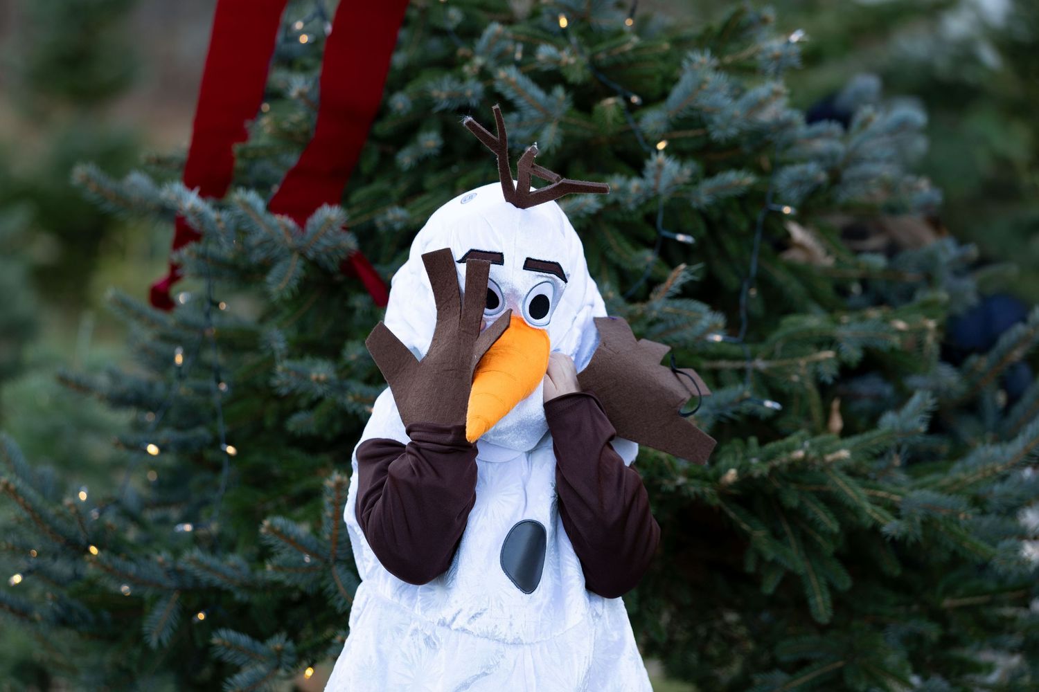 Decorative snowman plush toys displayed against evergreen Christmas trees.