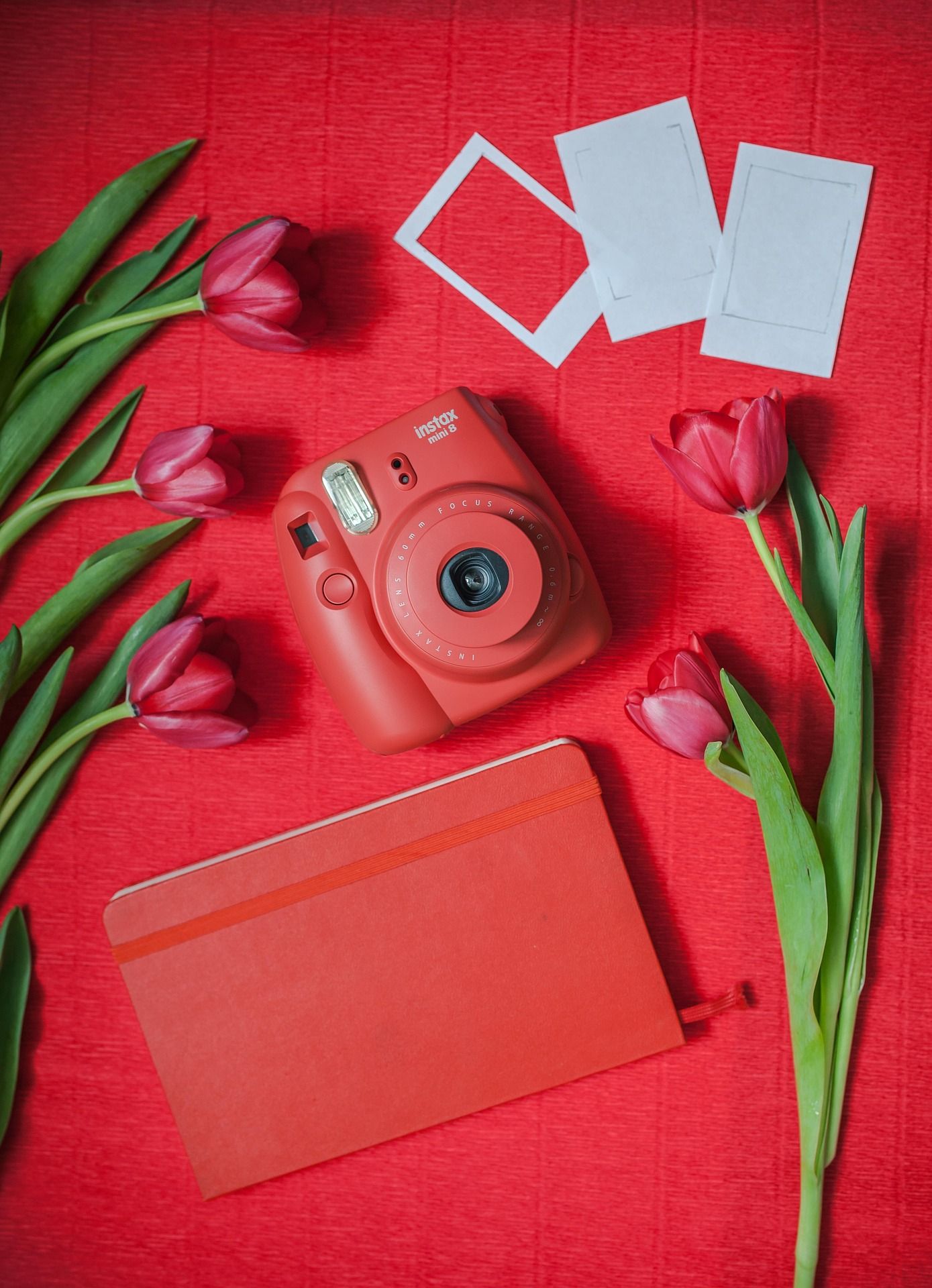 Red vintage camera with tulips and blank polaroid frames on vibrant red background.