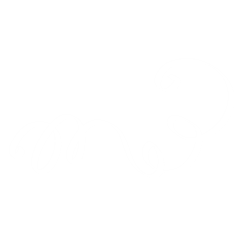 Empty white space background for text or design elements.