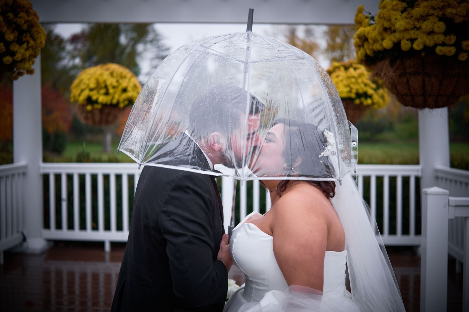 Romantic couple shares tender moments under clear umbrellas on a rainy wedding day.