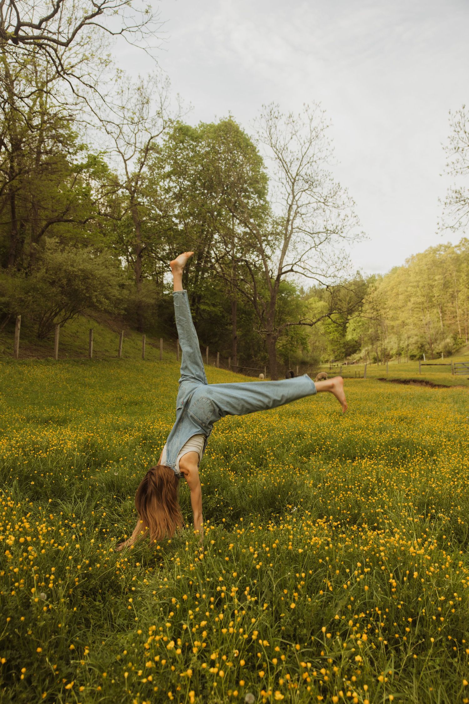 Someone doing a handstand in a meadow filled with yellow wildflowers on a spring day surrounded by green hills.