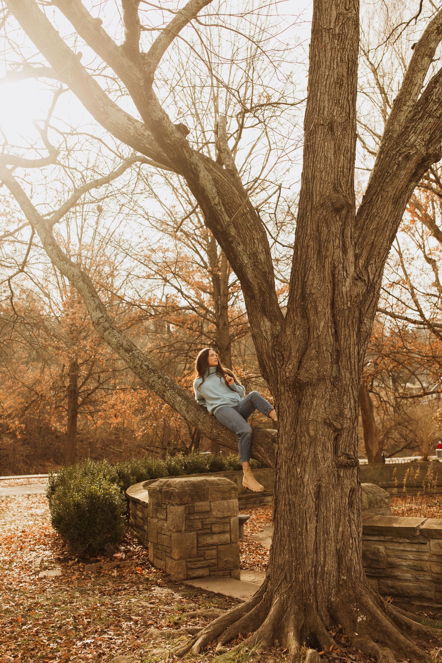 Person sitting on a stone wall near a large tree during golden hour in autumn.