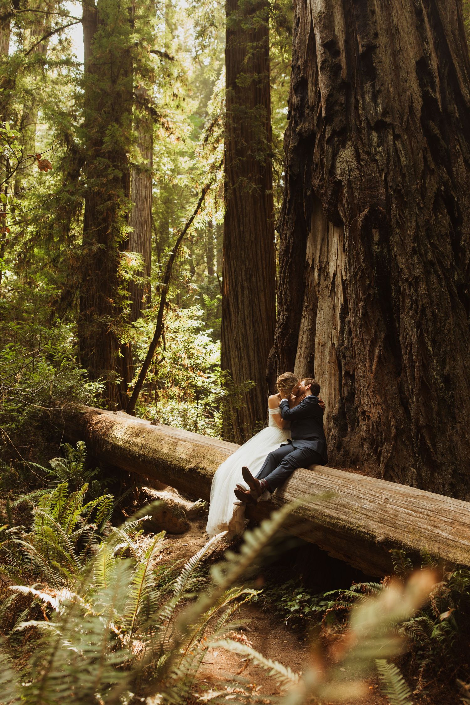 A couple sits intimately on a fallen redwood log surrounded by towering forest trees and ferns.