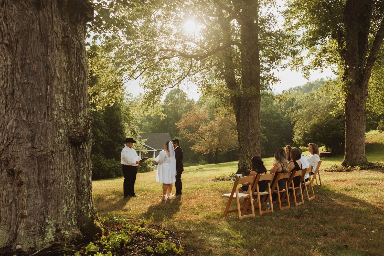 Intimate outdoor wedding ceremony at sunset with guests seated under tall trees.