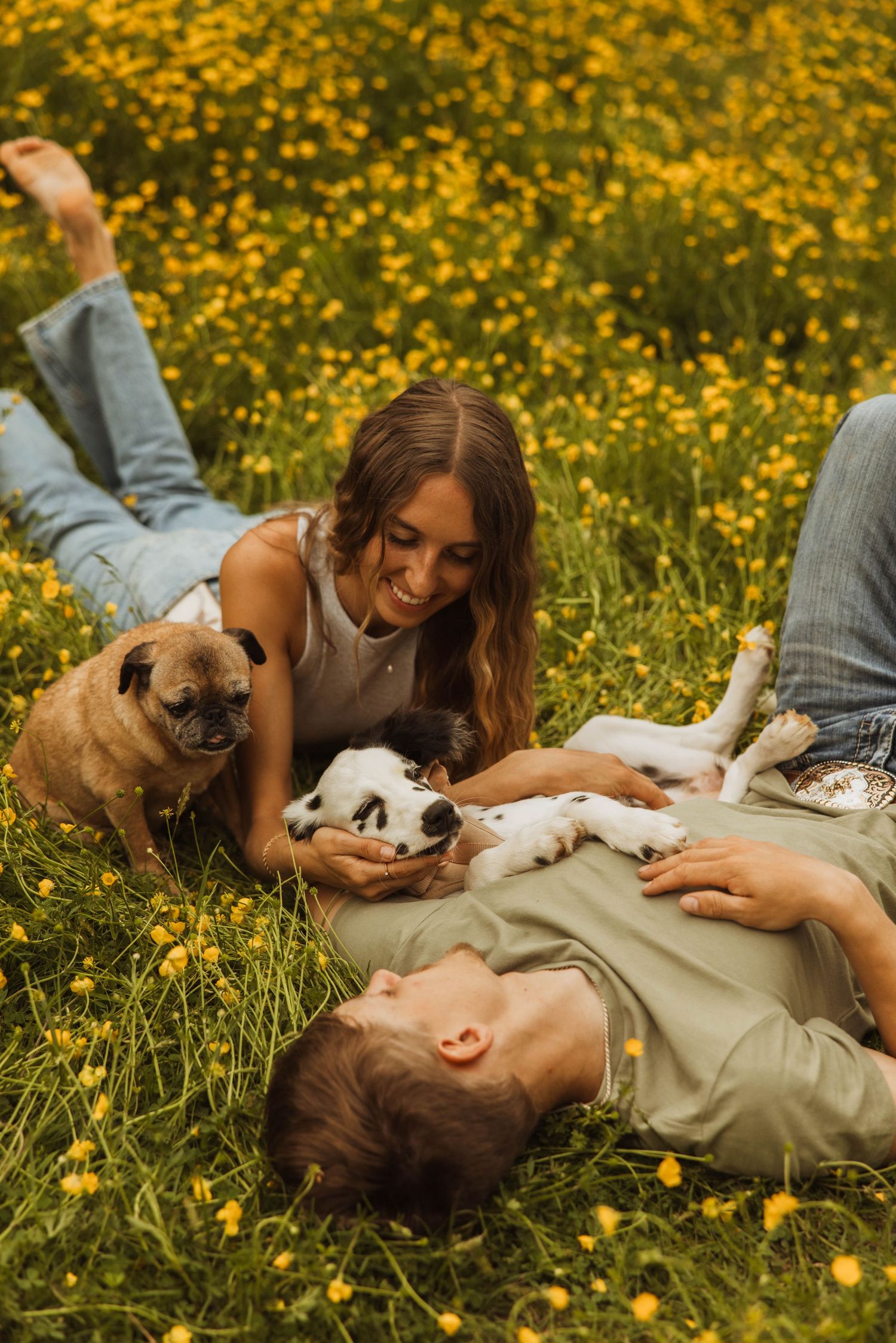 Couple relaxing in meadow of yellow wildflowers with their two dogs on a sunny afternoon.