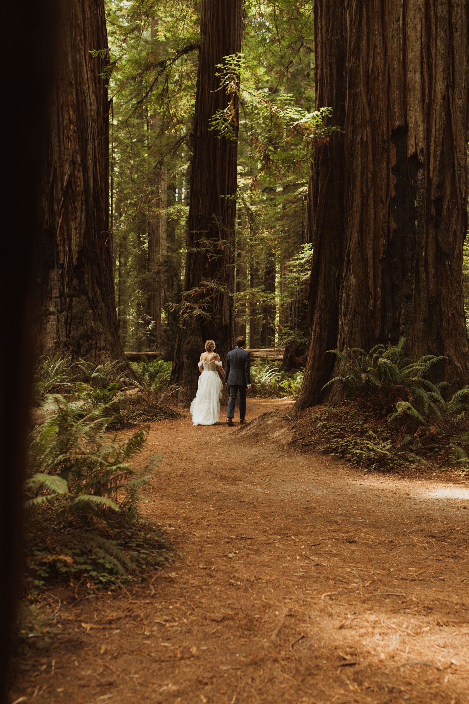 A couple walks along a dirt path through towering redwood trees and ferns.