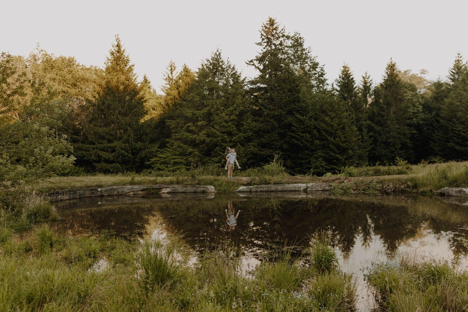 A serene pond reflects evergreen trees and surrounding wilderness in golden afternoon light.