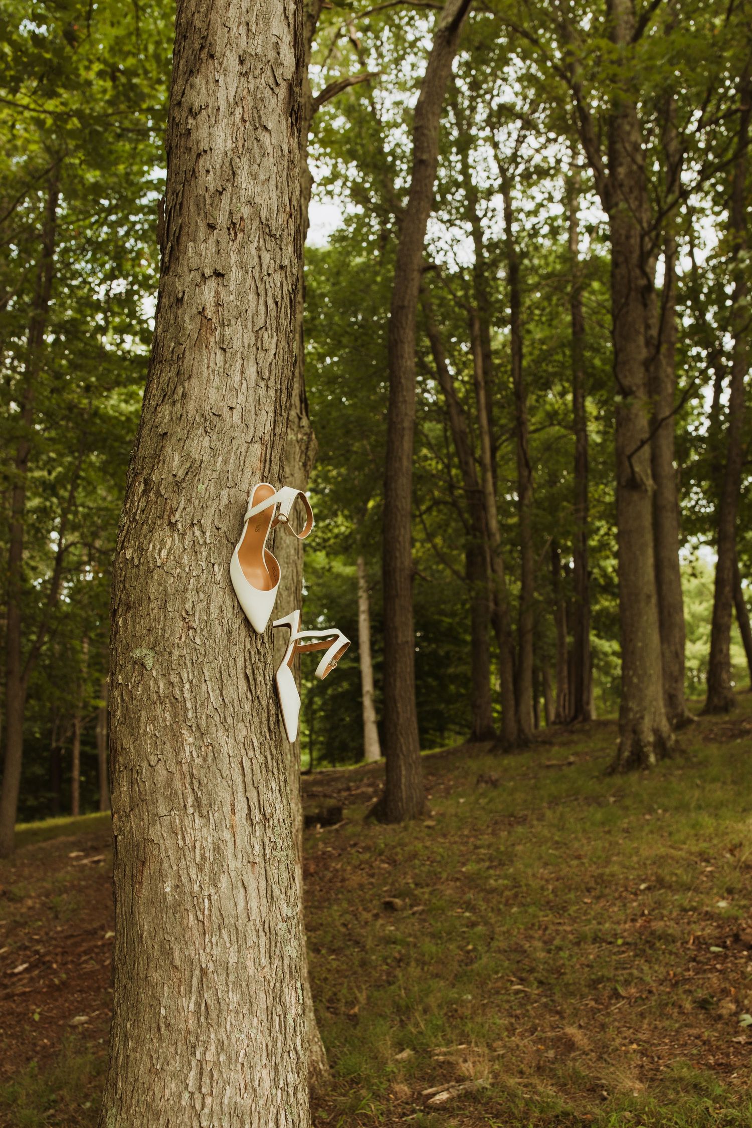 White wedding shoes artistically posed on a tree trunk in a woodland setting.