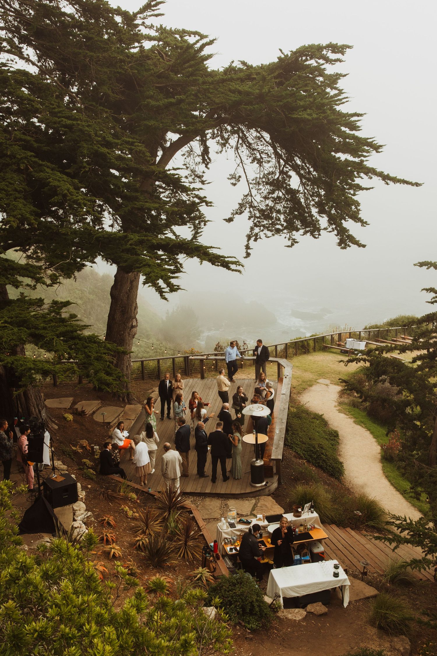 An outdoor gathering with tables and people beneath a large cypress tree overlooking a foggy coastline.