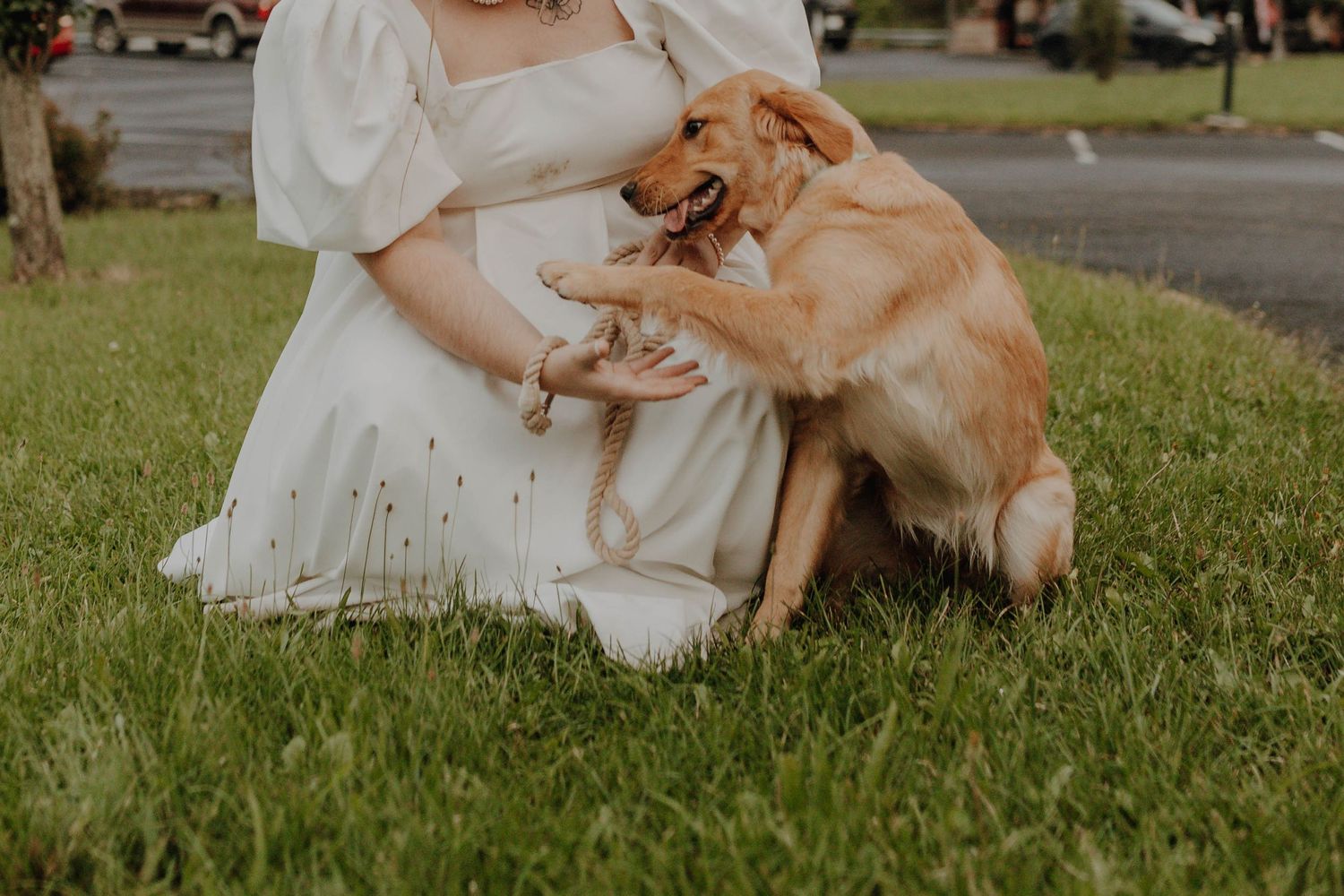 A happy golden retriever greets the bride sitting on grass in her wedding dress.