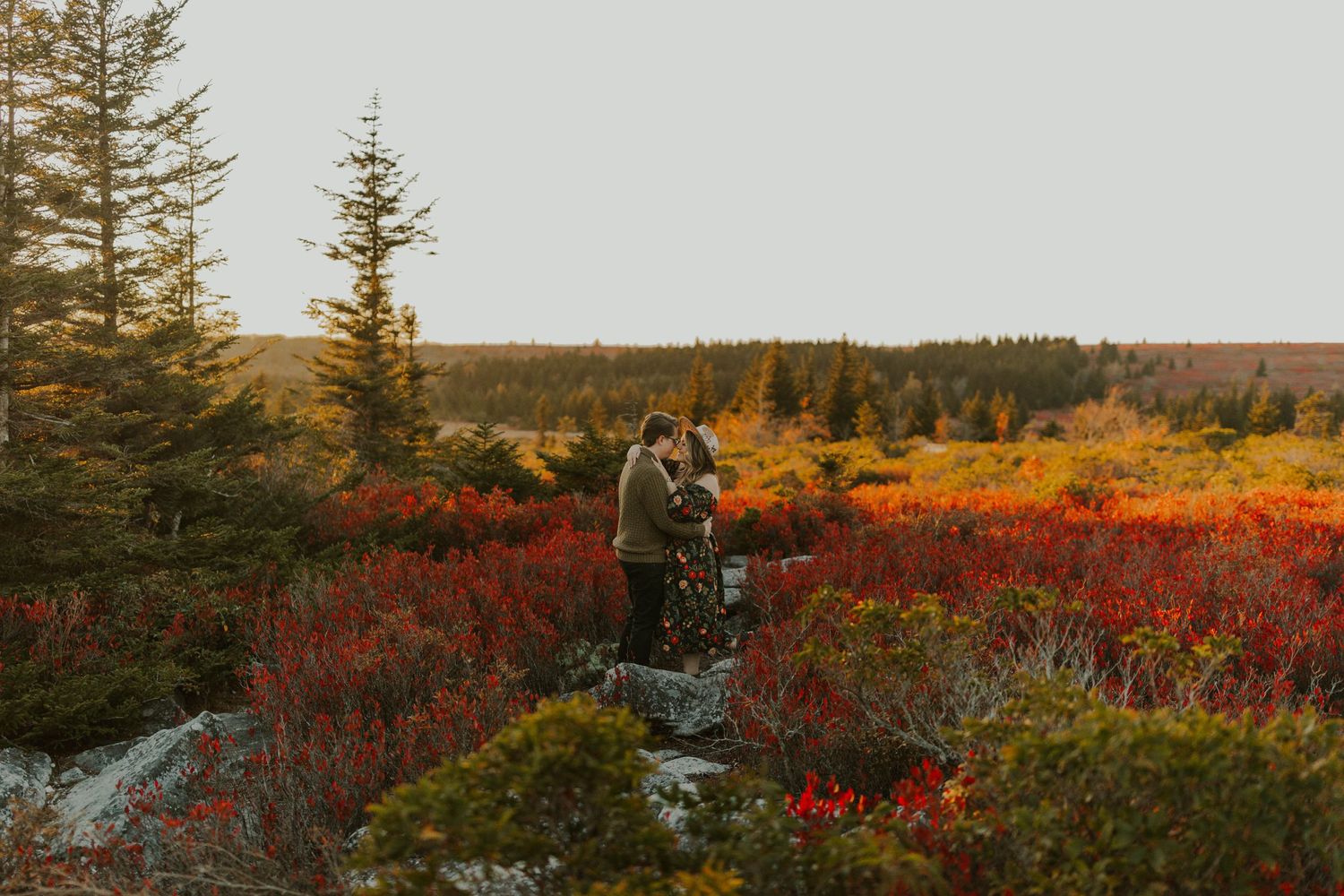 A scenic autumn landscape with evergreen trees and vibrant red foliage in a mountain setting at sunset.