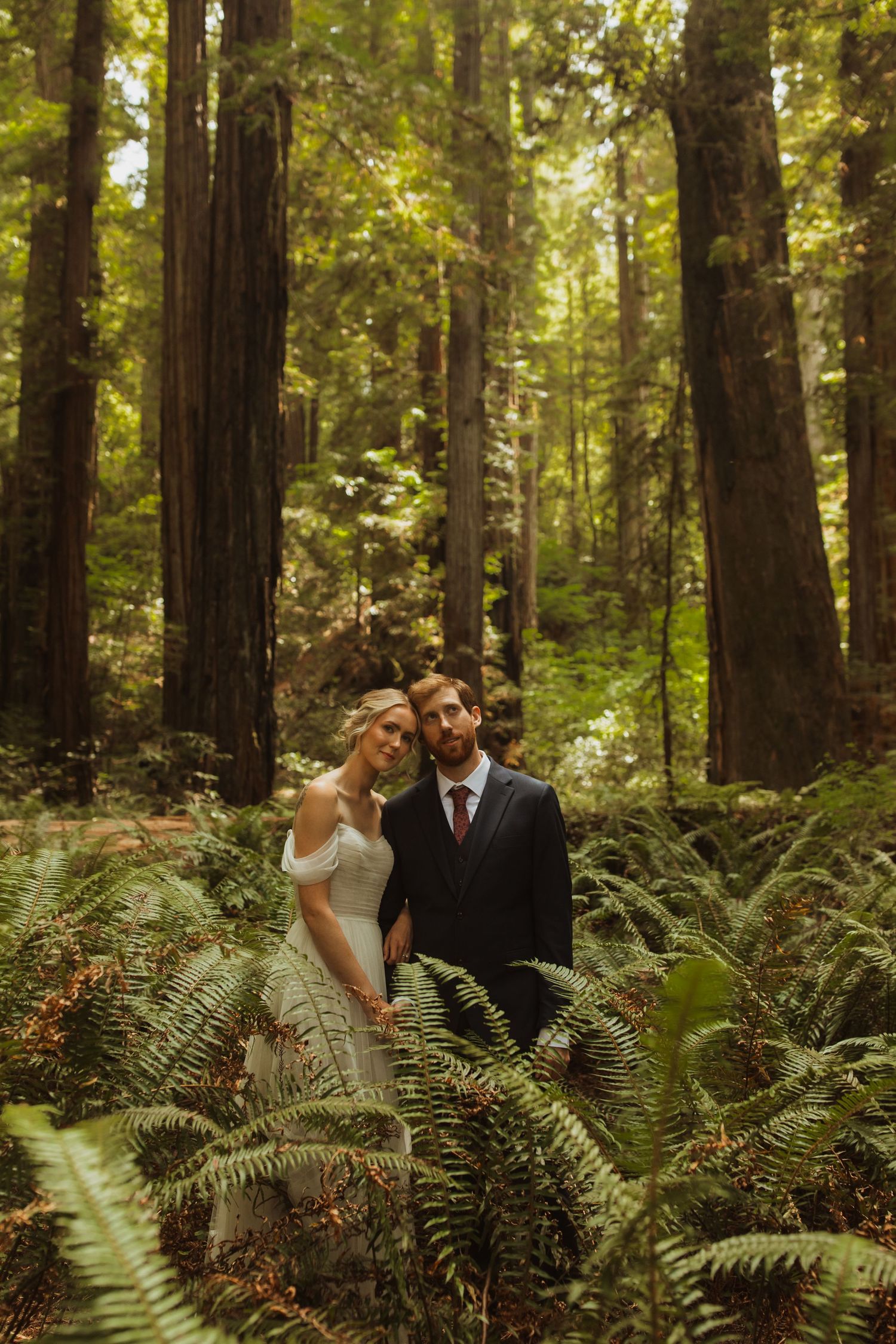 A couple poses among lush ferns in a majestic redwood forest.