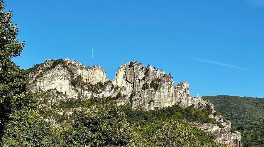 Dramatic limestone cliffs rise above green forest under bright blue skies.
