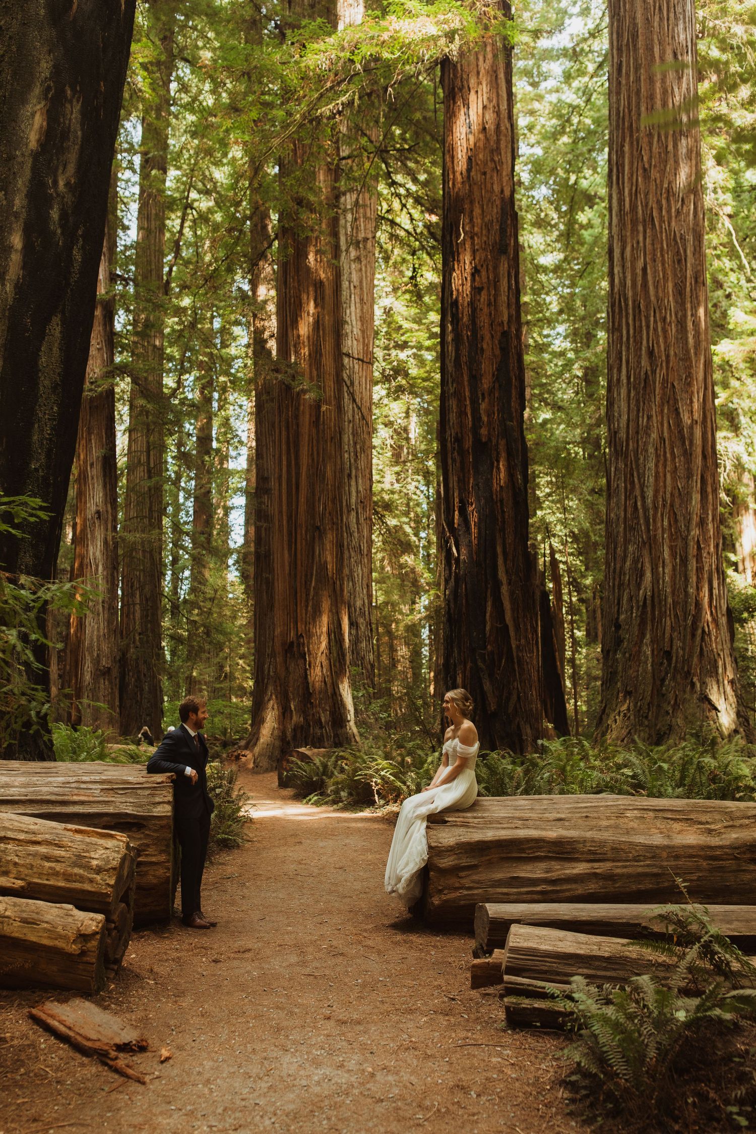 A couple shares a moment on fallen logs in a majestic redwood forest setting.
