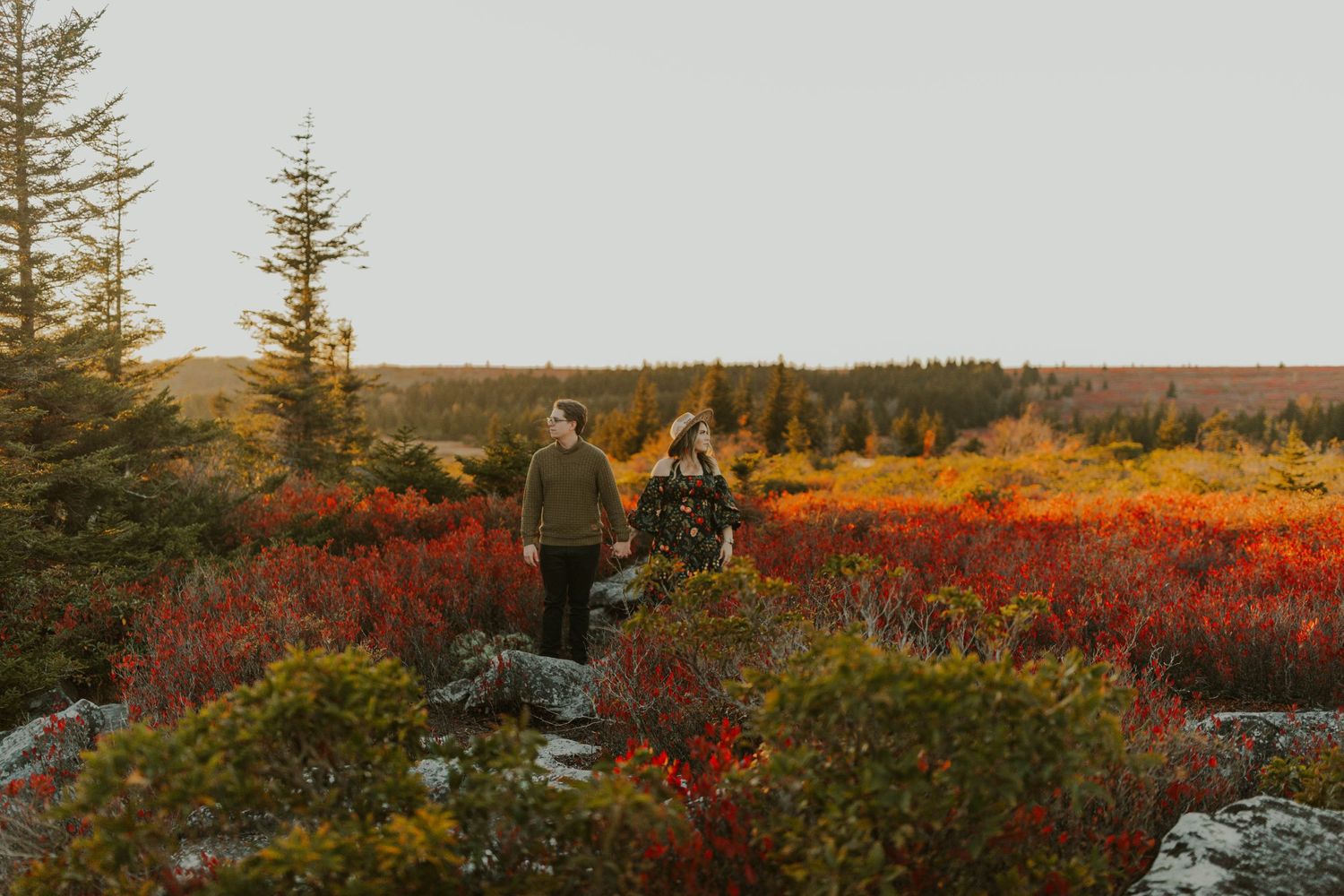 Two people stand on rocks amid vibrant red fall foliage and evergreen trees in a wilderness landscape at dolly sods