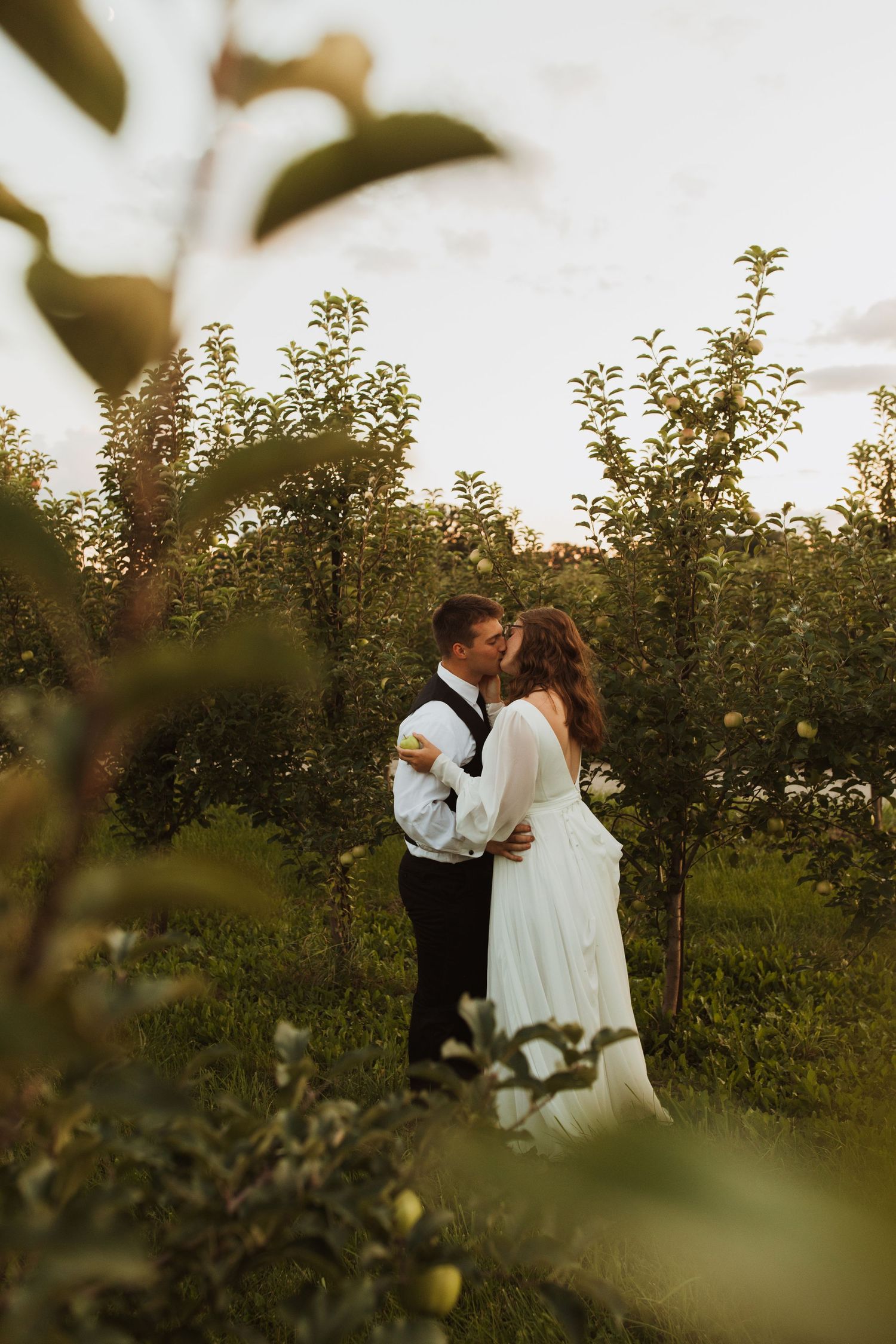 Newlyweds share an intimate moment between rows of apple trees in an orchard.