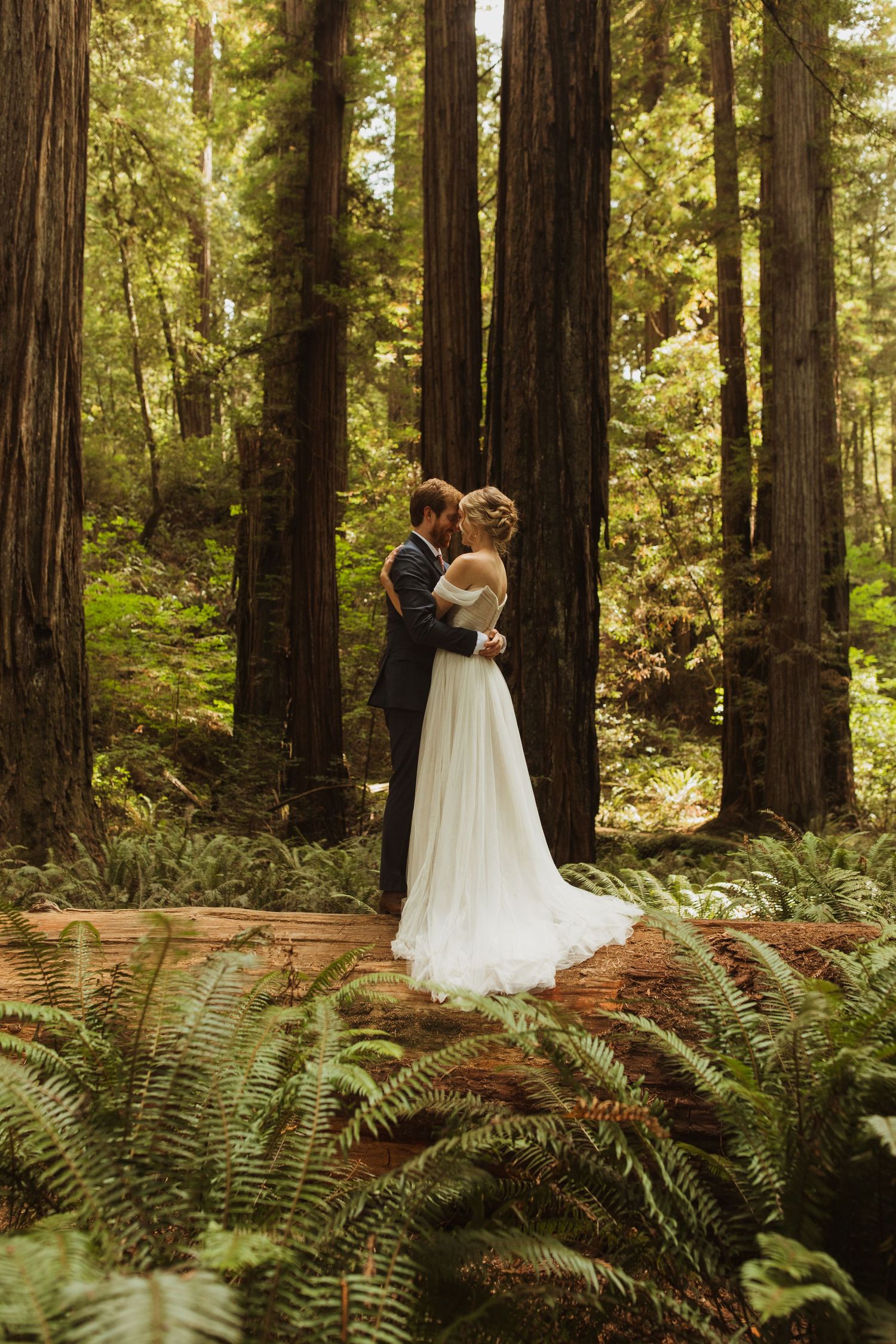 A romantic wedding couple embraces among towering redwood trees and ferns in a magical forest setting.
