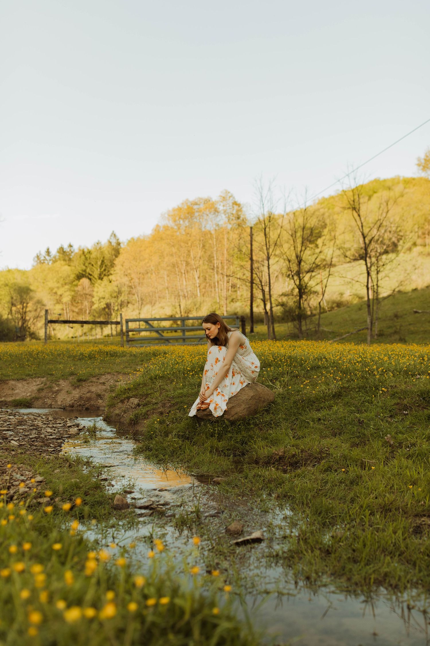 Peaceful scene by a stream surrounded by spring wildflowers.