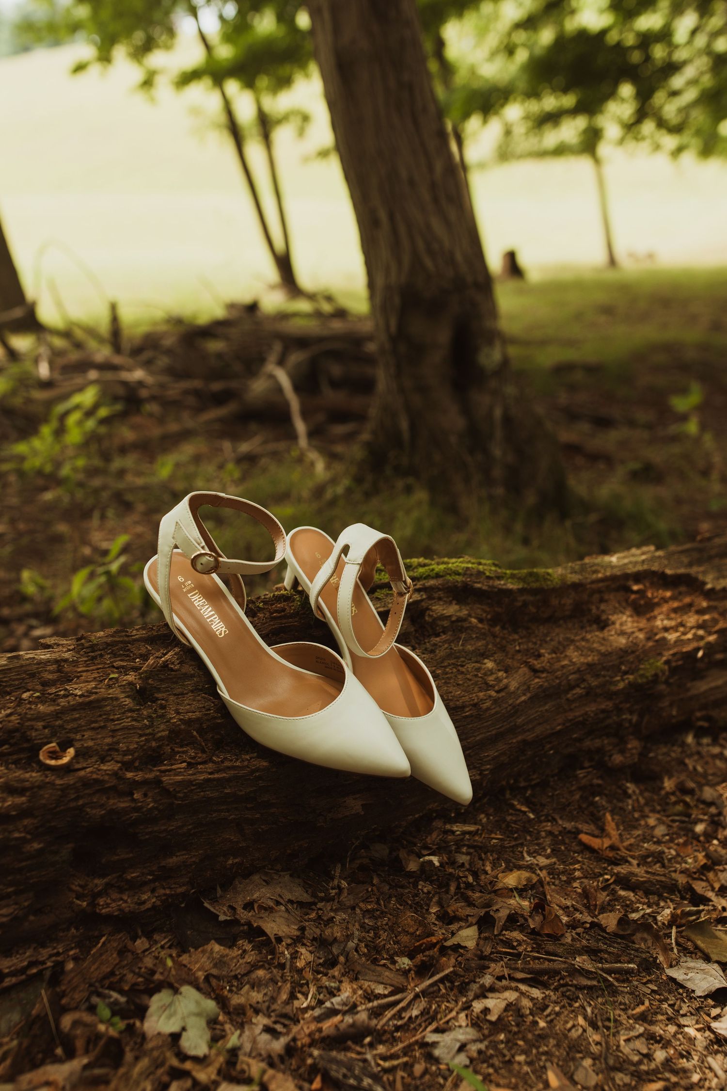 Elegant white wedding shoes placed on forest ground with leaves and tree roots.