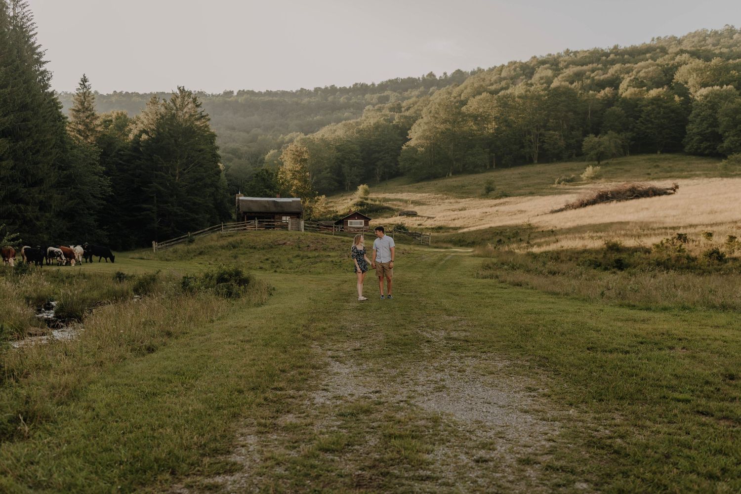 A grassy mountain trail winds through a scenic landscape with rolling hills in the background.