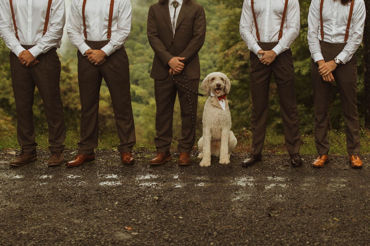 A golden doodle dog poses with groomsmen wearing suspenders and brown shoes on a rainy day.