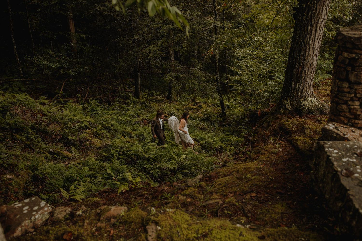 Wedding couple sits together on mossy forest slope surrounded by tall trees.