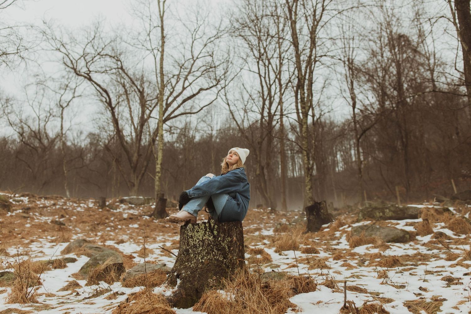 Someone sitting atop a tree stump in a snowy winter forest landscape.