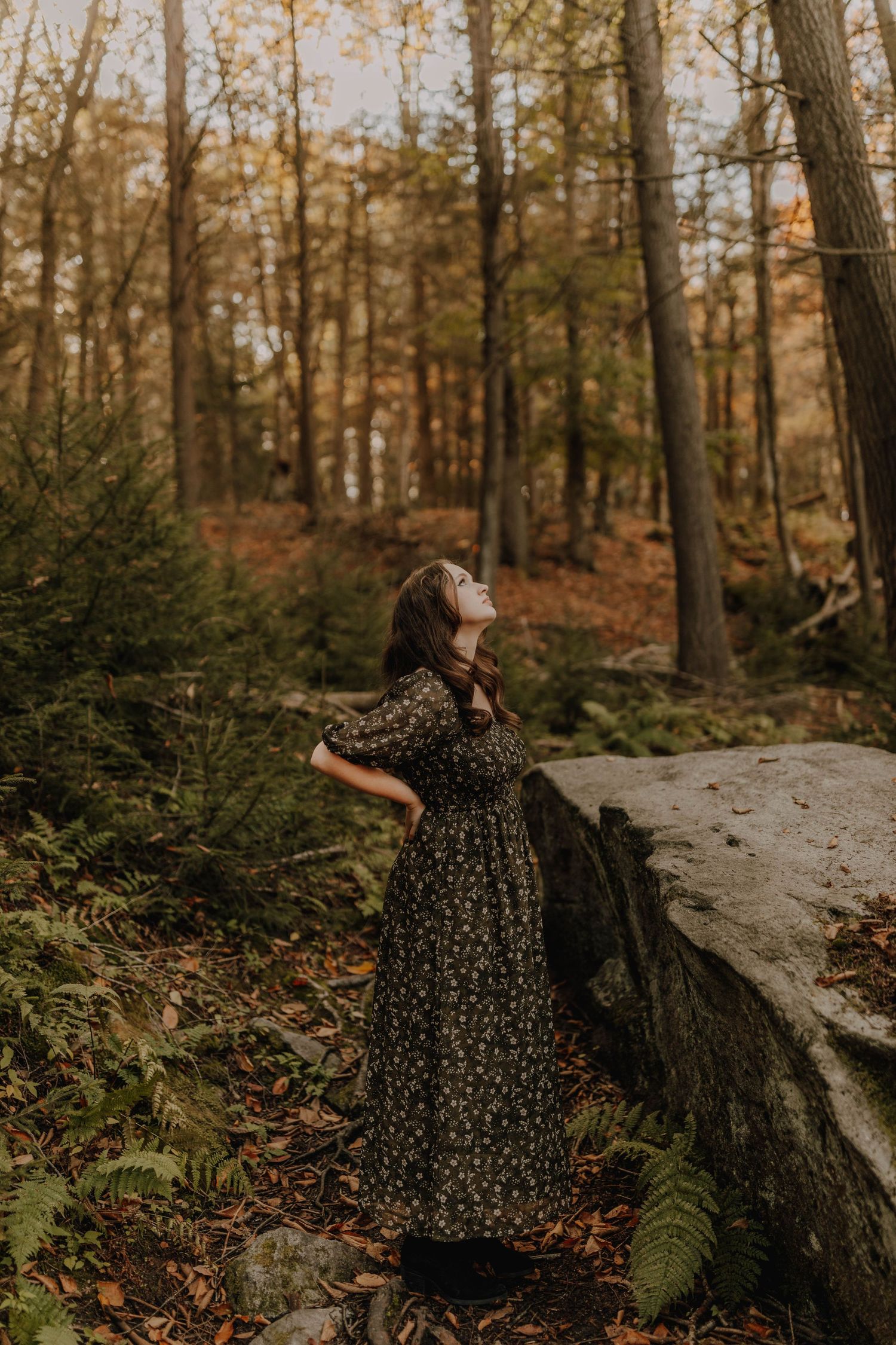 A person in a flowing dark dress stands by a rocky outcrop in a misty forest.
