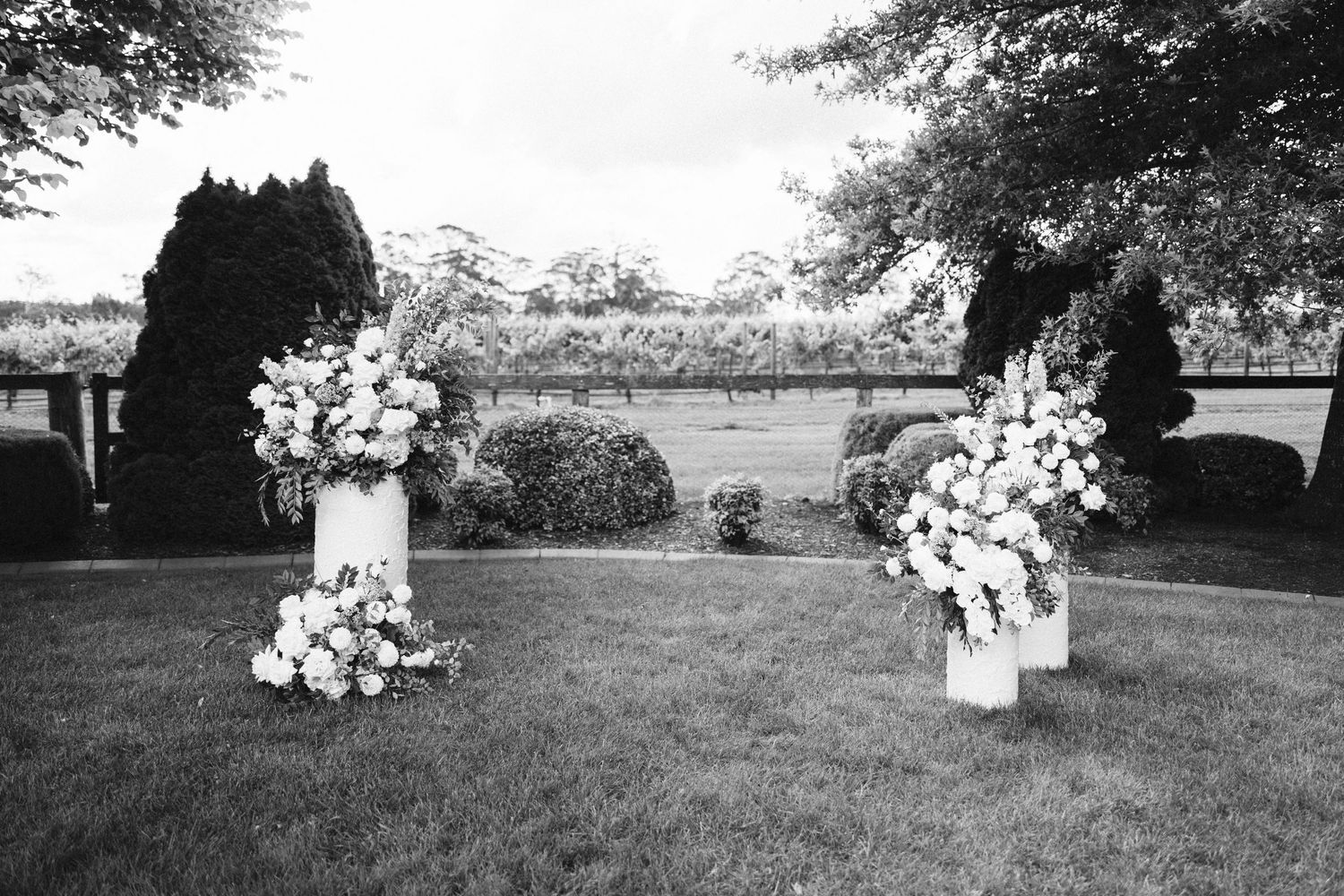 Black and white photo of wedding ceremony floral arrangements on white pedestals.