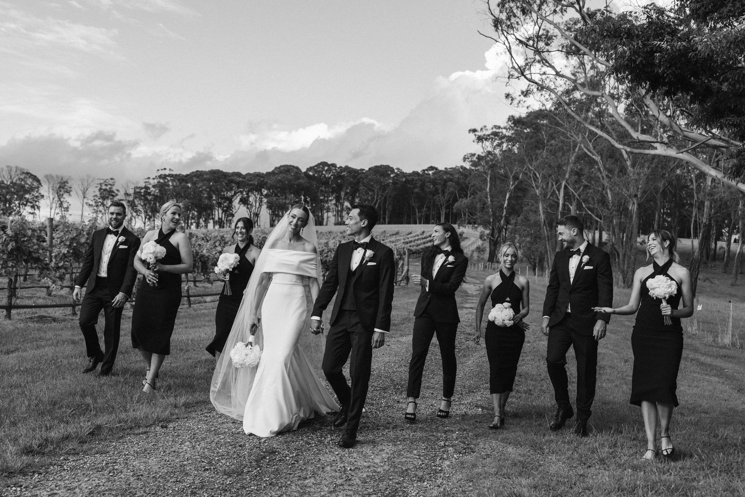 Black and white photo of wedding party walking together through vineyard landscape.