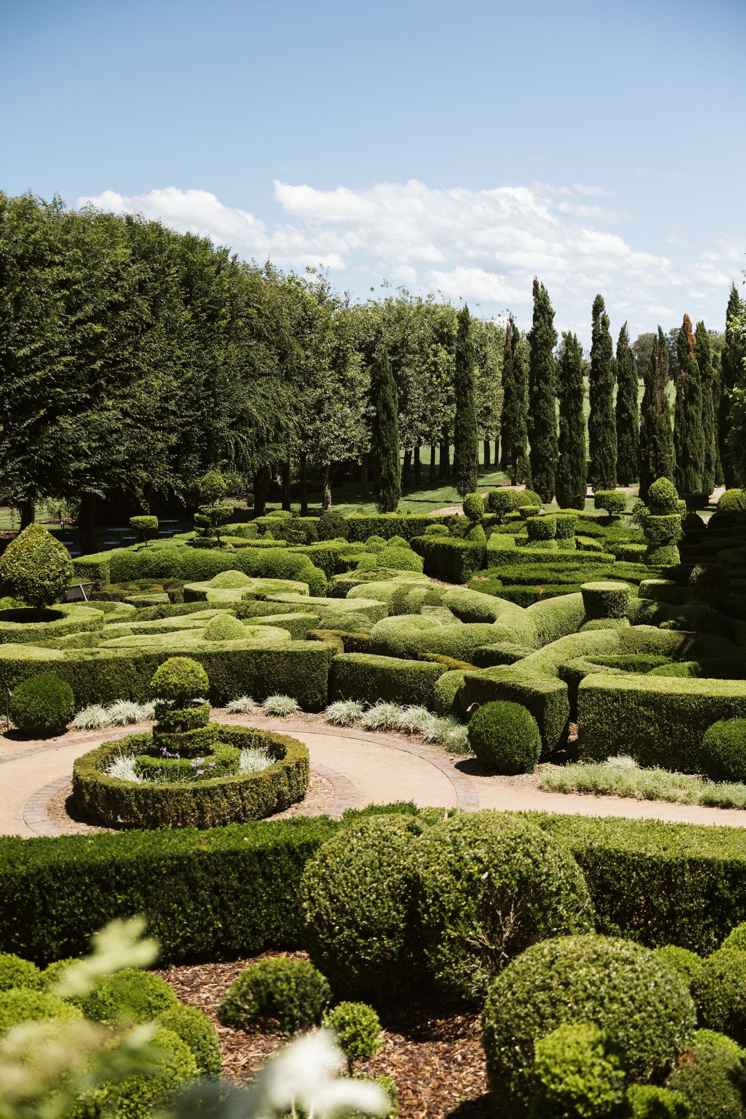 Formal garden with sculpted hedges and cypress trees creating geometric patterns under blue sky.