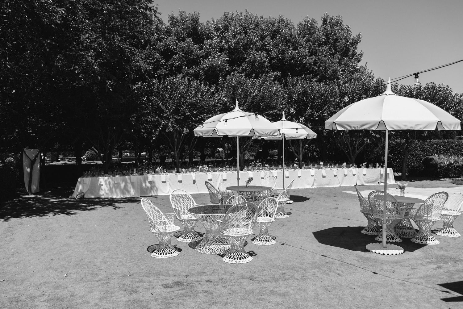Vintage-style garden party setup with white umbrellas and chairs in black and white photography.