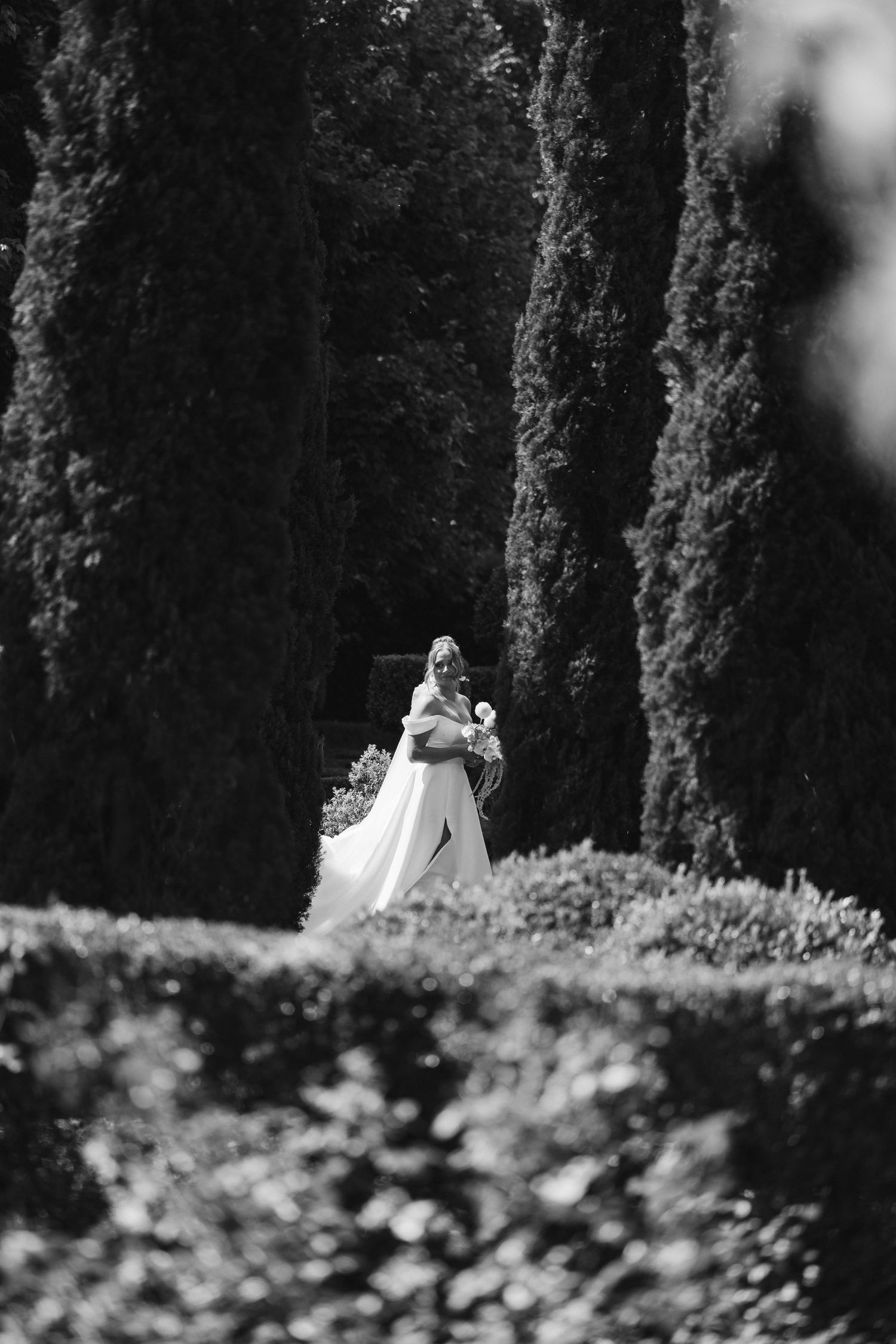 A black and white photograph of a garden path lined with tall cypress trees.