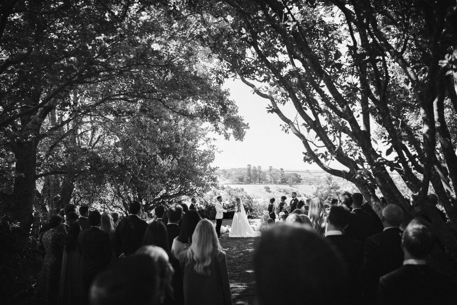 Wide shot of outdoor wedding ceremony with guests seated under tree canopy.
