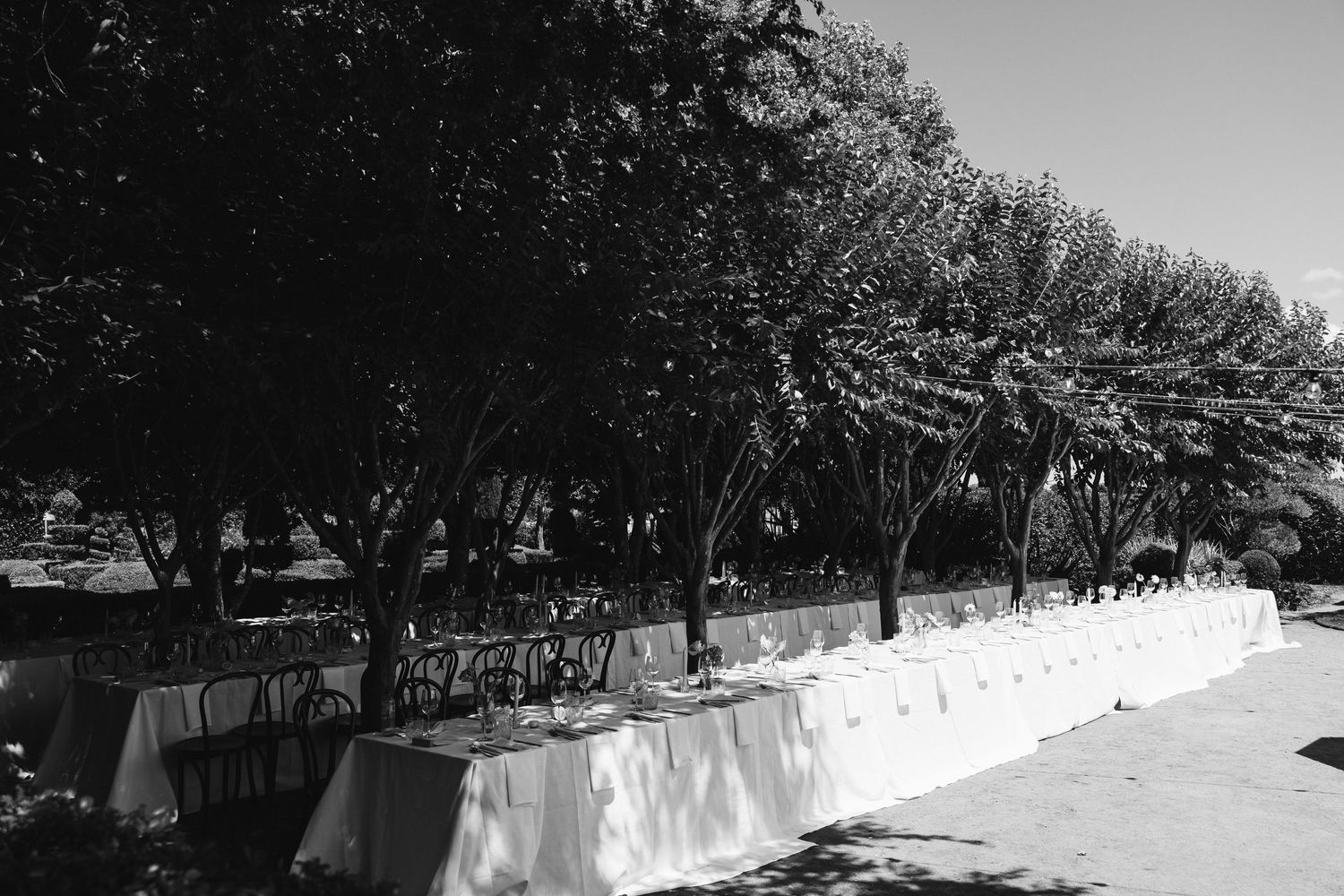 Long banquet tables with white tablecloths set up outdoors under a canopy of trees in black and white.
