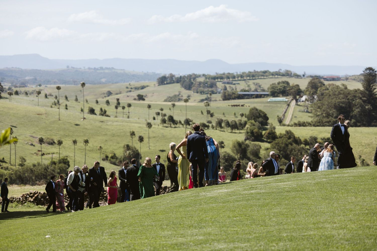 Wedding guests line up on a grassy hillside with mountains in the background.