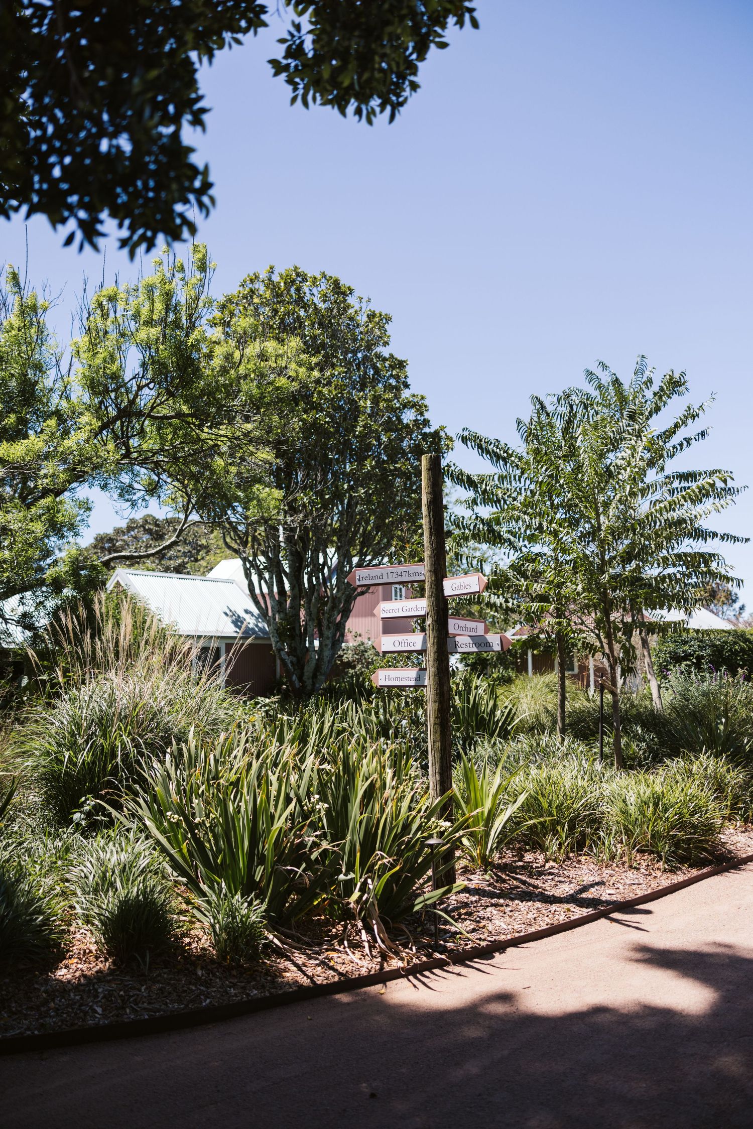 A winding garden path lined with native plants and ornamental grasses under blue skies.