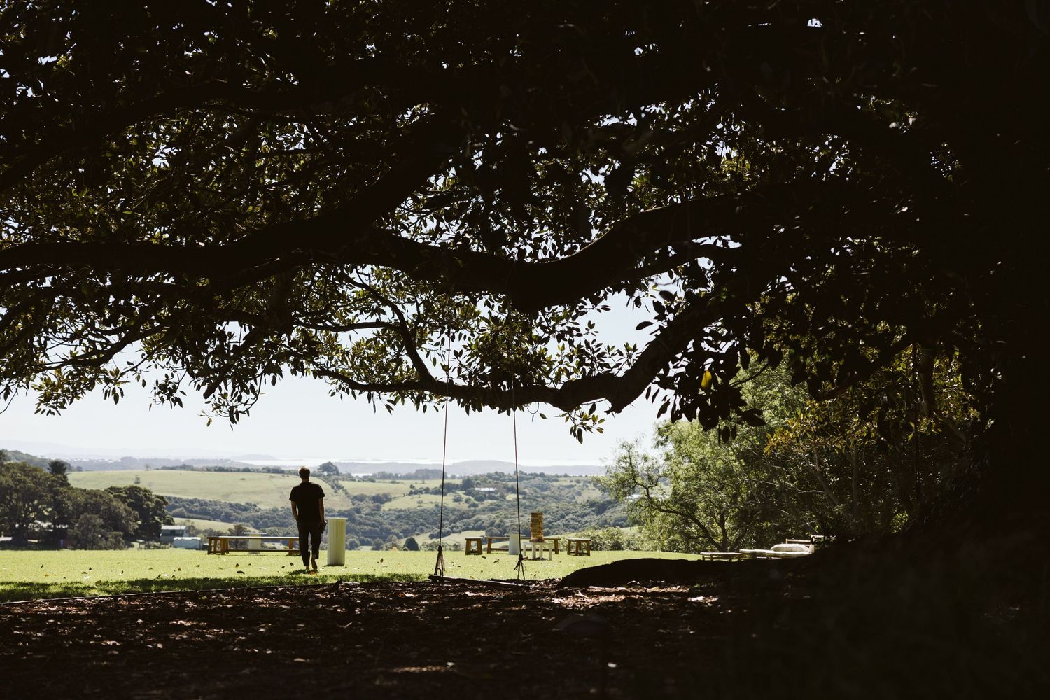A silhouetted figure stands beneath a large tree overlooking a scenic valley vista.