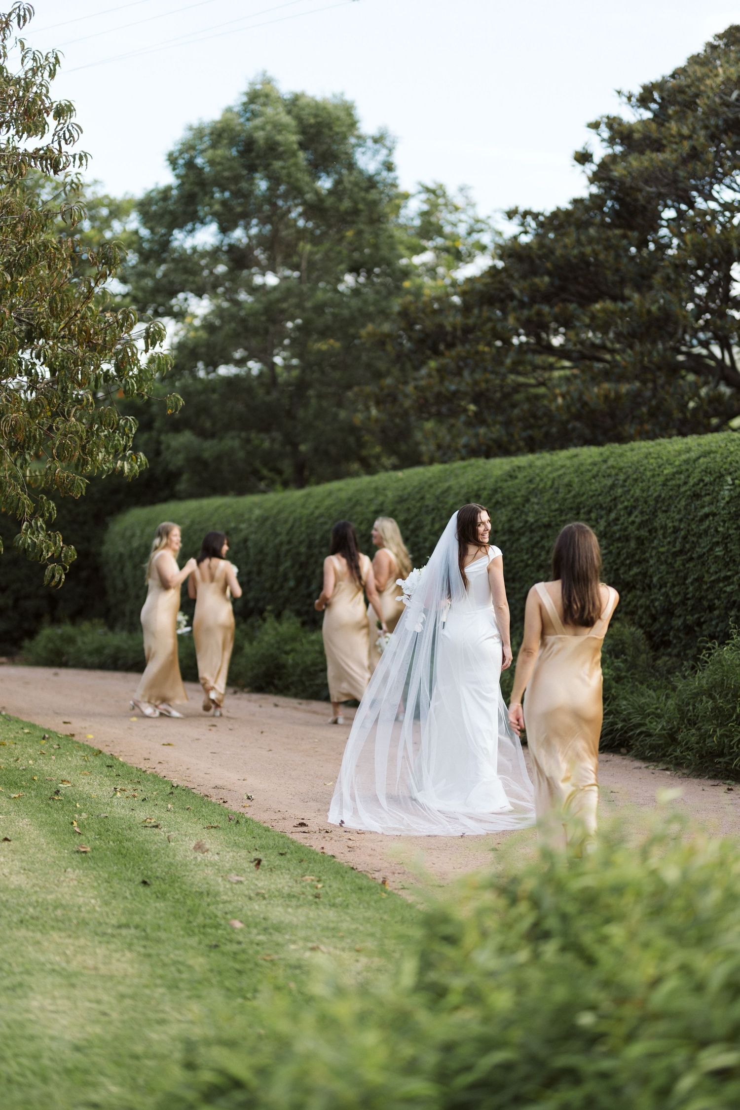 A bride in white gown walking with bridesmaids in gold dresses along a garden path bordered by hedges.