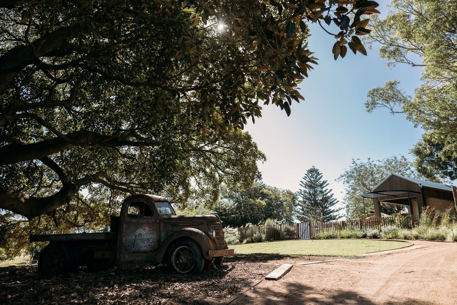 Vintage truck parked under a tree with a rustic house in the background on a sunny day.