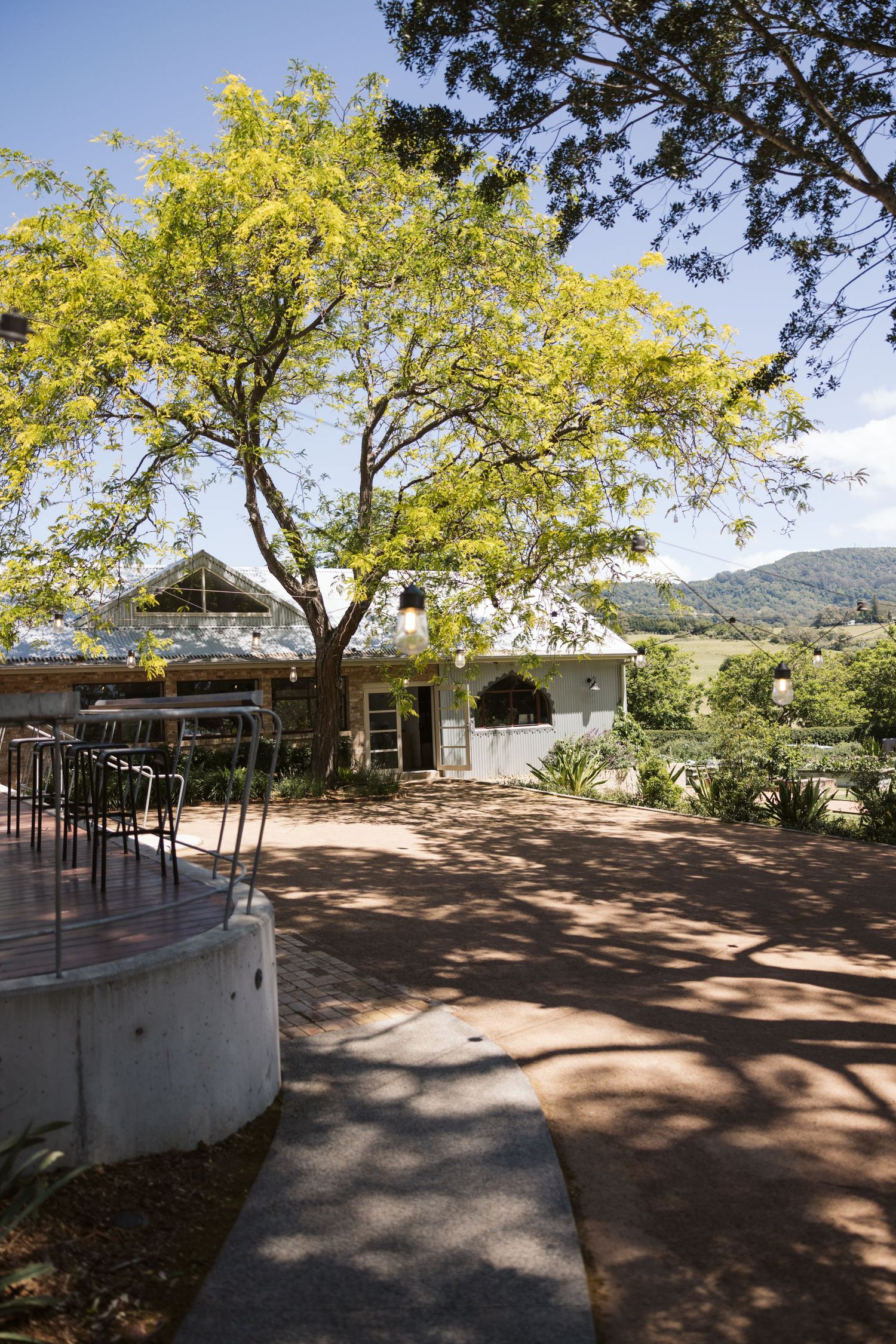 A rustic venue with a large yellow-flowering tree and mountain views in the background.