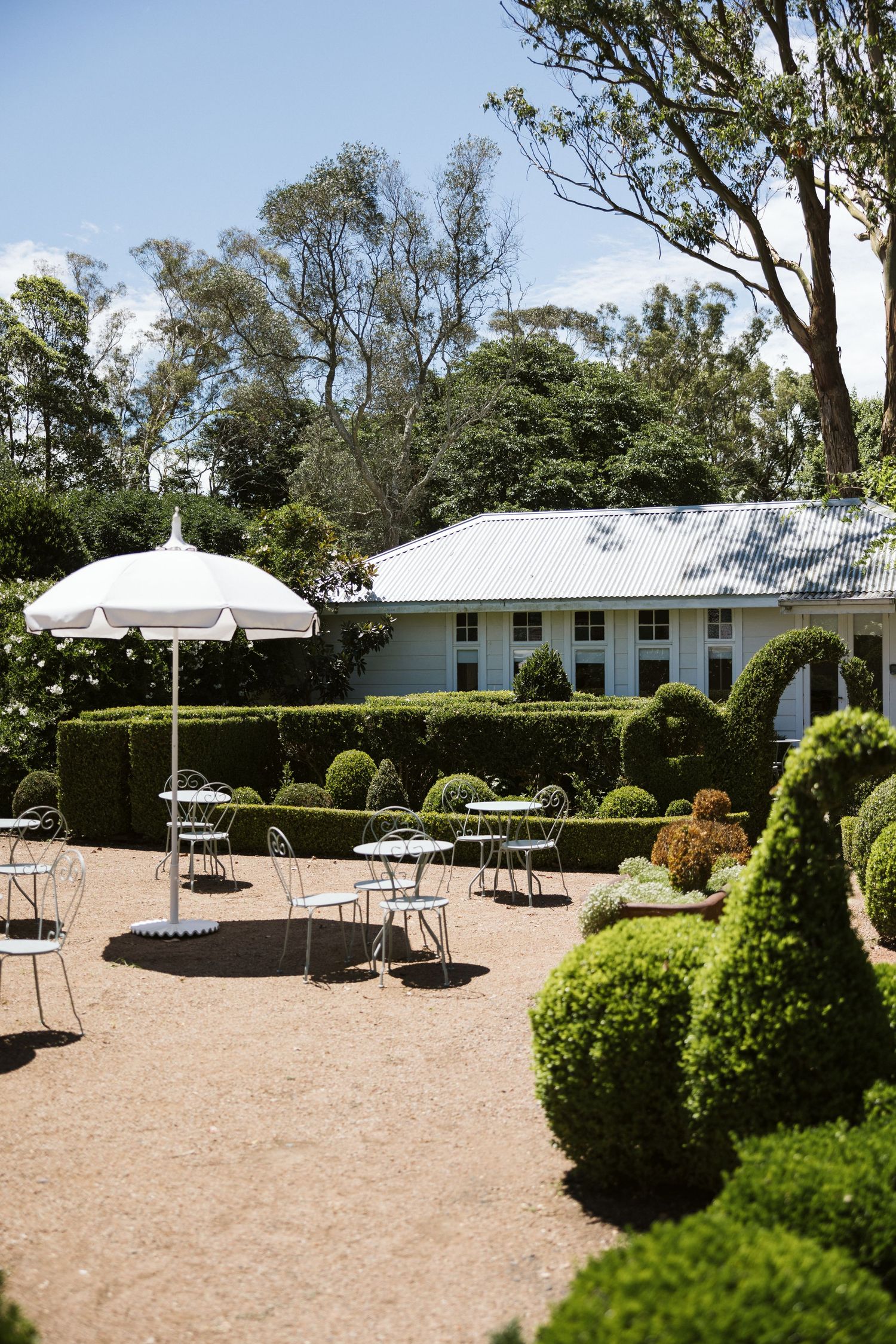 Garden courtyard with white umbrellas and cafe tables surrounded by manicured hedges and a colonial style building.