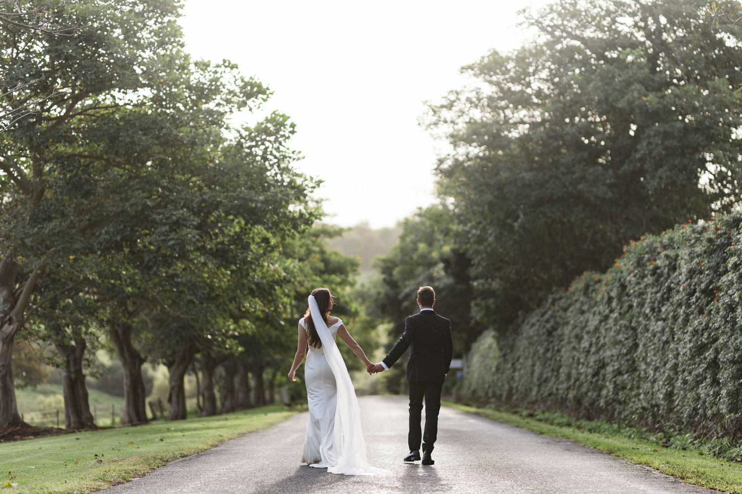 Wedding couple walking down tree-lined country road together.