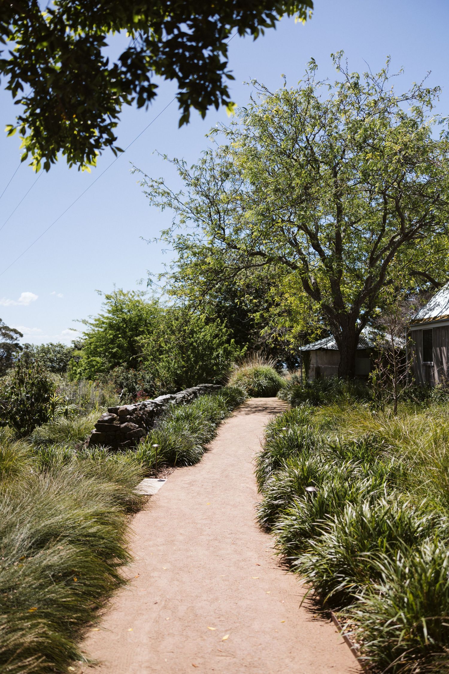 A winding pathway through landscaped gardens with native grasses and trees.