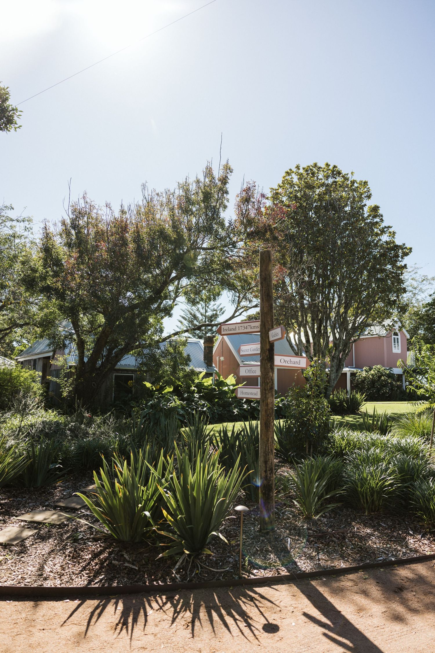 A sunny garden landscape with native plants and a wooden post in the foreground.