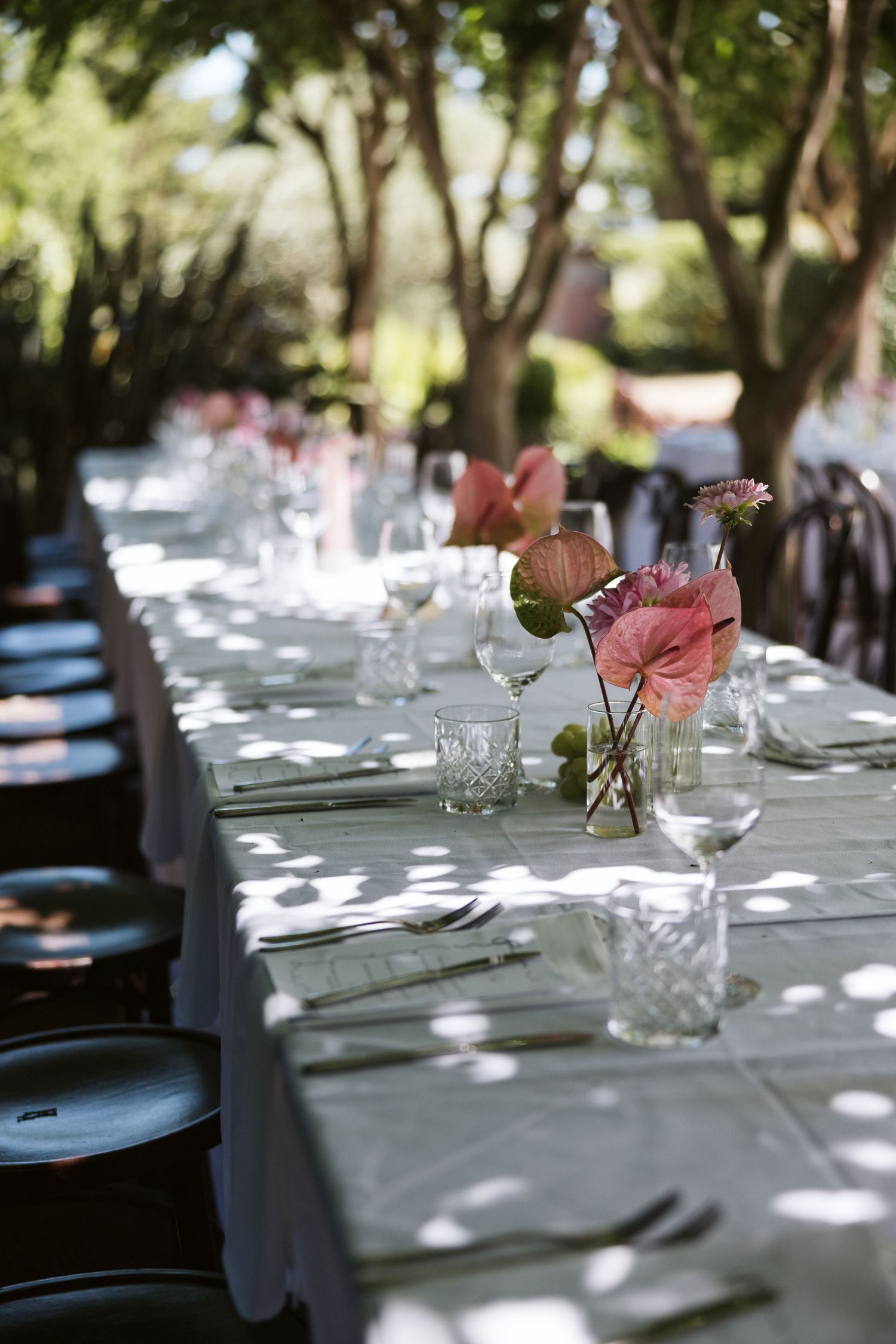 Elegant outdoor dining table set with white linens and pink flower centerpieces in dappled sunlight.