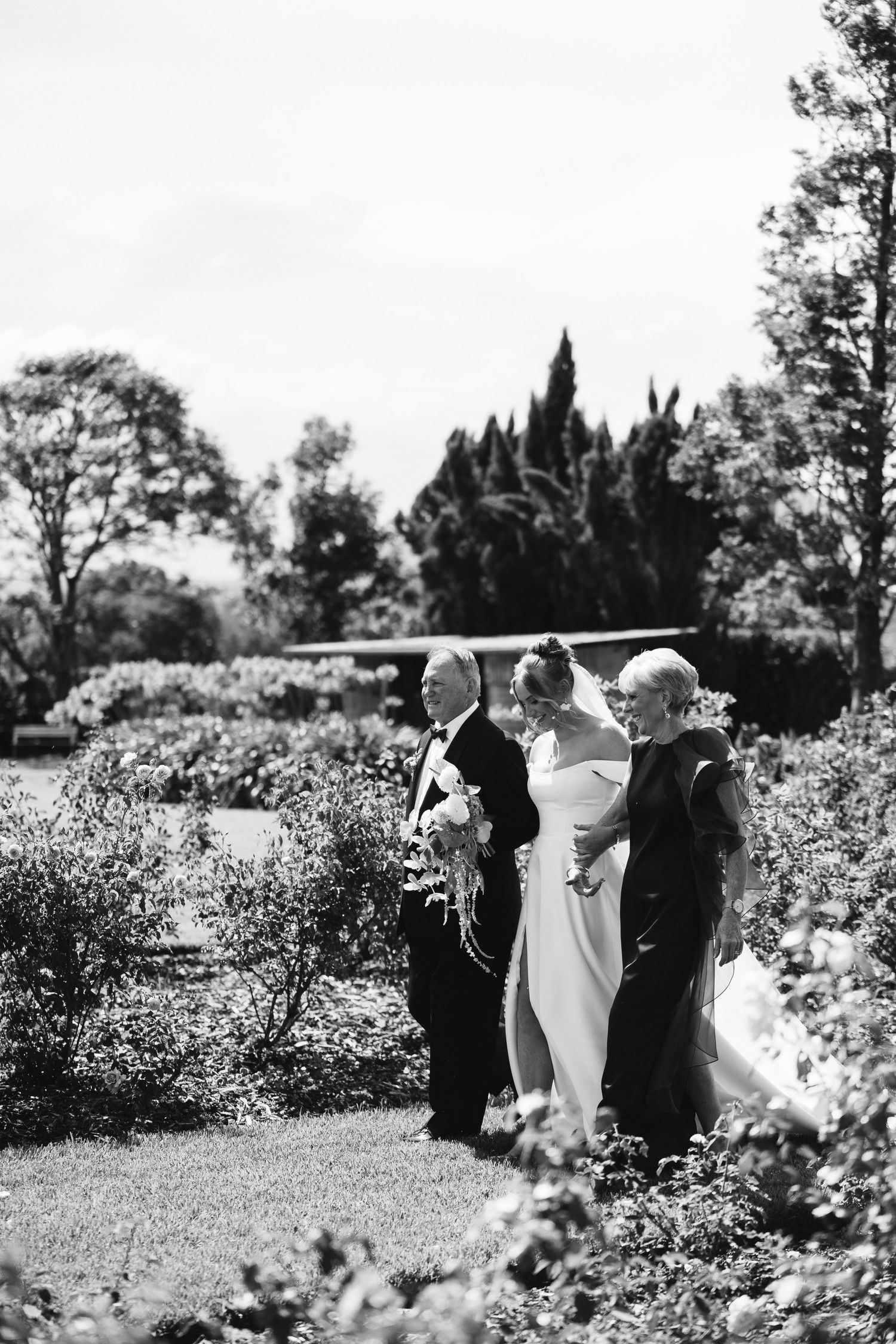 A black and white garden scene with formal landscaping and tall cypress trees.