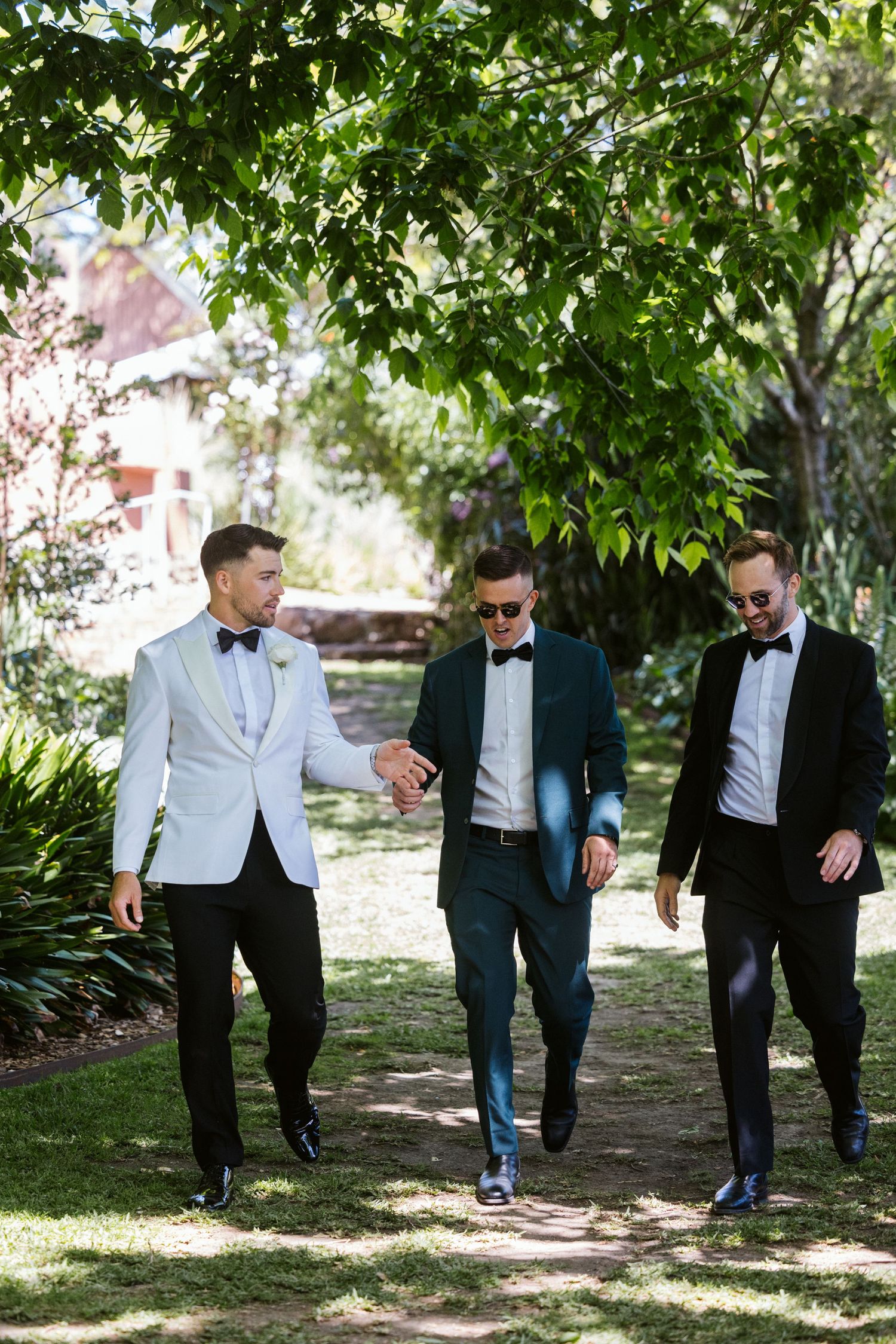 Three groomsmen in tuxedos walking together on shaded garden path.